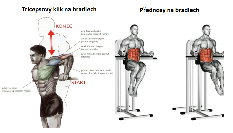Zapojené svalové sk. tricepsový klik a přednos Tricepsové kliky