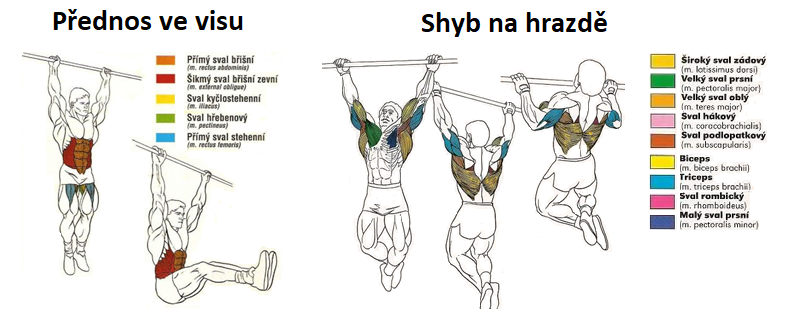 Syhyb a přednosy ve visu Shyby a přednosy